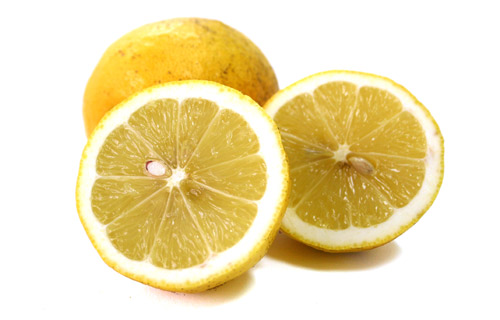 道法さんのレモン 約300g(1～2玉)