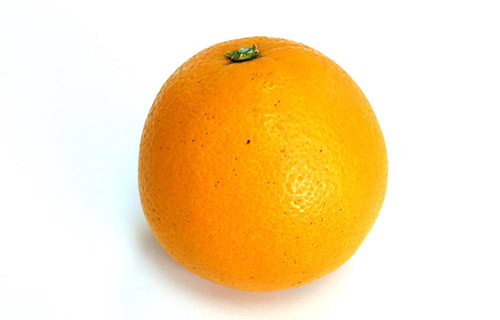 お待たせいたしました!白柳ネーブルオレンジ