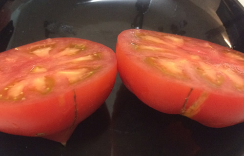 【収穫祭】　わけあり小粒ファーストトマト