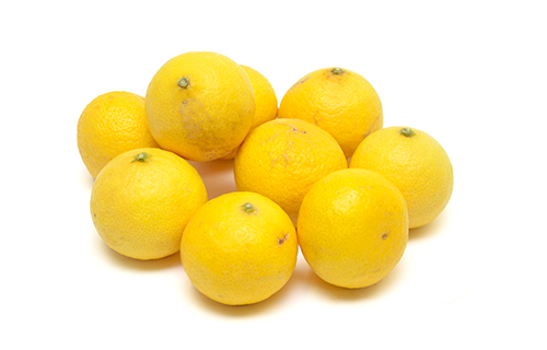 銀座店で人気の柑橘。小さい果実の中に美味しさいっぱい。黄金柑