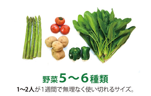 野菜定期便 Sサイズ