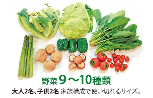 野菜定期便 Lサイズ