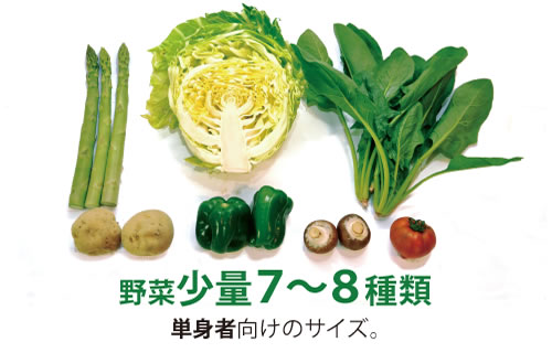 野菜定期便 Vサイズ