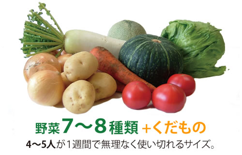 野菜定期便 Kサイズ