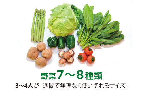 野菜定期便 Mサイズ