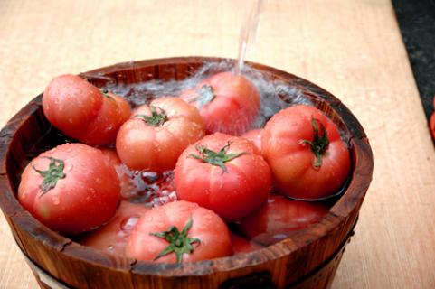 北海道産　夏の太陽のトマト