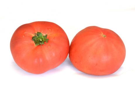 北海道産　夏の太陽のトマト