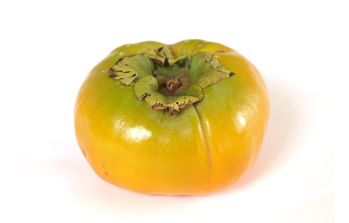 シャリシャリの新食感　太秋柿
