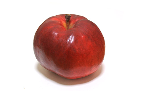 偶然が重なって生まれた赤い果肉のりんご。紅の夢(くれないのゆめ)